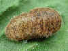 bild724.jpg (26327 Byte)