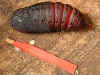 Puppe Wiener Nachtpfauenauge   Saturnia pyri   Large Emperor Moth (37775 Byte)
